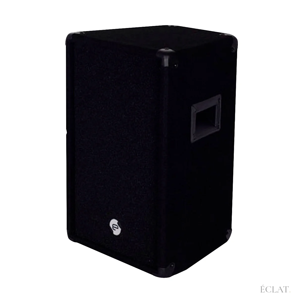 Enceinte 10 pouces du pack sono, caisson noir et grille de protection